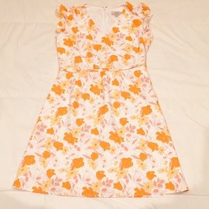 LOFT Outlet Ruffle Sleeve Dress